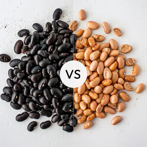 Black Beans vs Pinto Beans Which One Wins Your Taco Bowl Black Beans vs Pinto Beans Which One Wins Your Taco Bowl