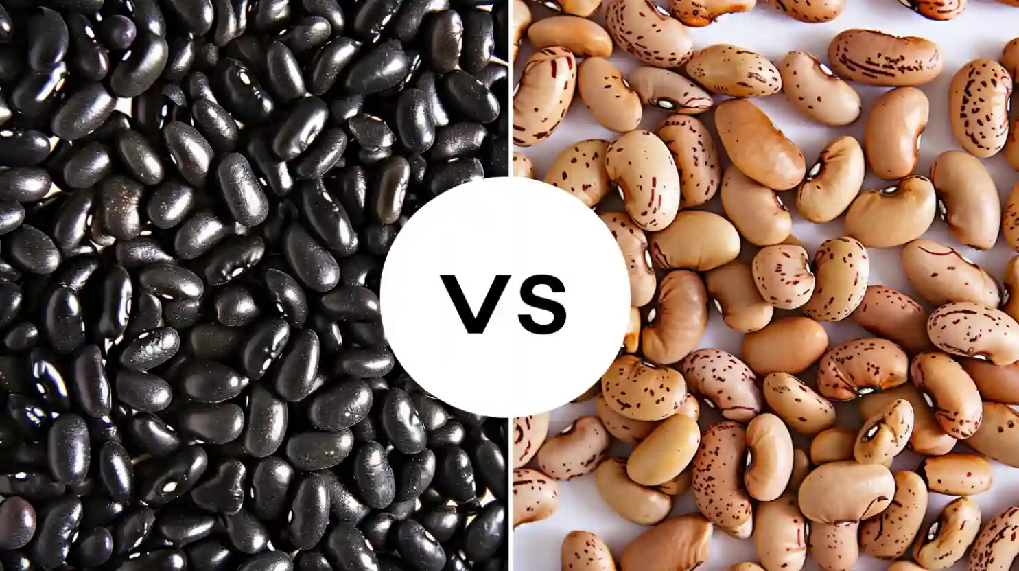 Black Beans vs Pinto Beans in Taco Bowls 2 Black Beans vs Pinto Beans in Taco Bowls