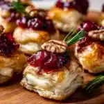 baked cranberry brie bites 2025 11 09 183819 150x150 1